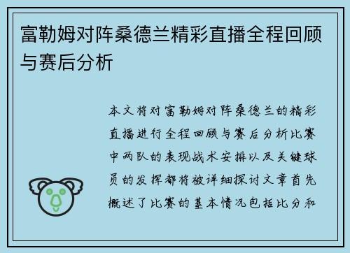 富勒姆对阵桑德兰精彩直播全程回顾与赛后分析